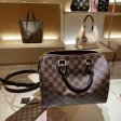 Louis Vuitton Speedy 25 Pillow Bag M41113