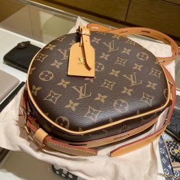 Louis Vuitton Medium Women's Bag M45647
