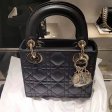 Dior crossbody carrying bag for women